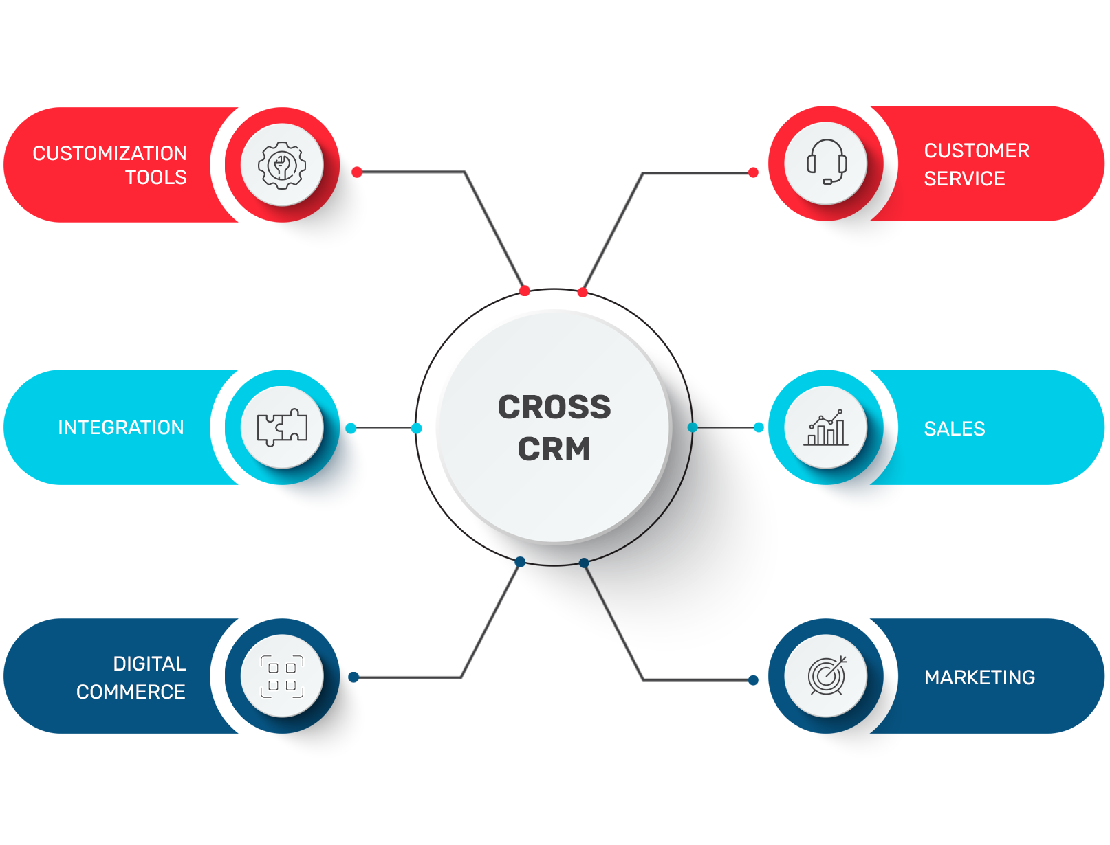 #1 Custom CRM Software